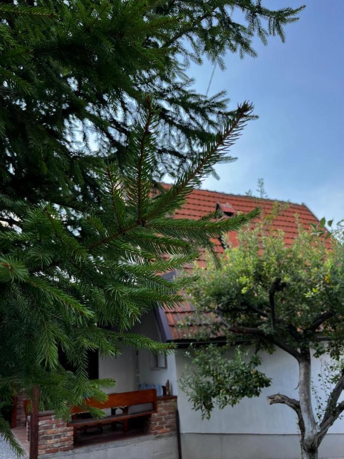Holiday Home Amila Visoko Bagian luar foto